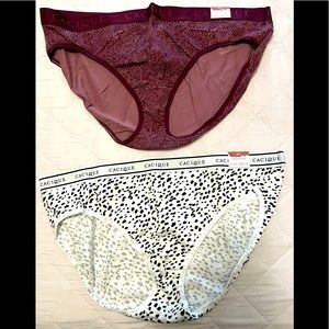 Lane Bryant hipster underwear